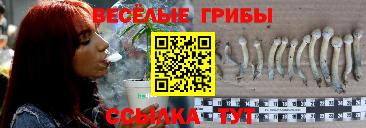 Галлюциногенные грибы мицелий  Вход с VPN  наркошоп  Черкесск 